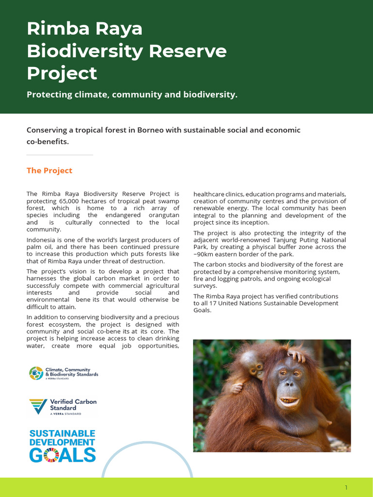 Rimba Raya Biodiversity Reserve Project | PDF | Earth Sciences ...