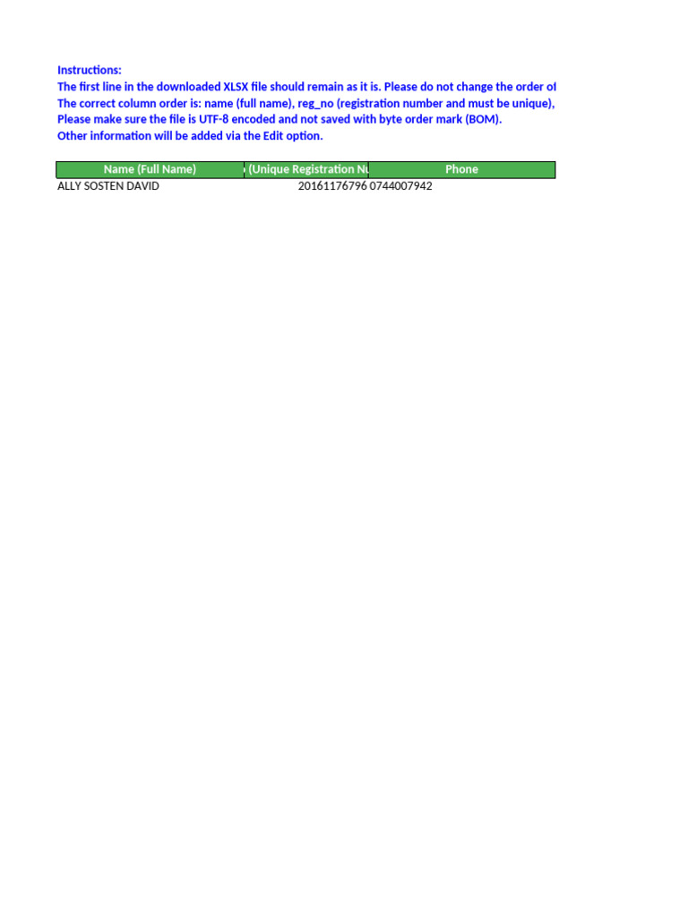 XLSX File Formatting Instructions | PDF