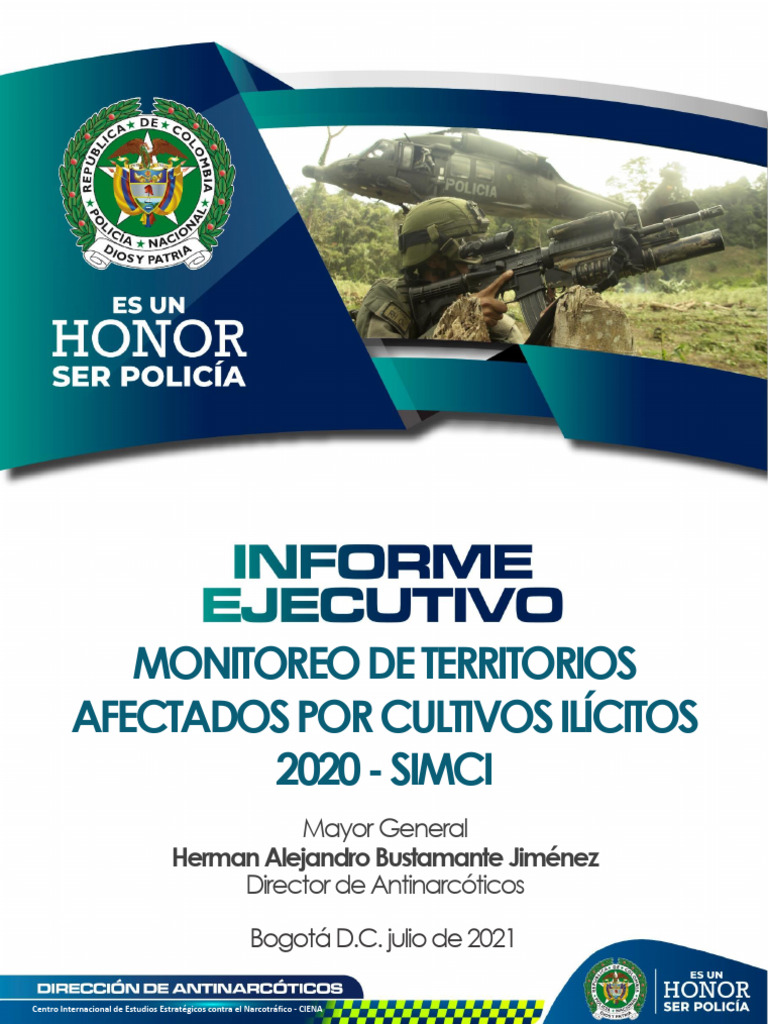 Informe SIMCI 2020: Cultivos Ilícitos en Colombia | PDF | Coca ...