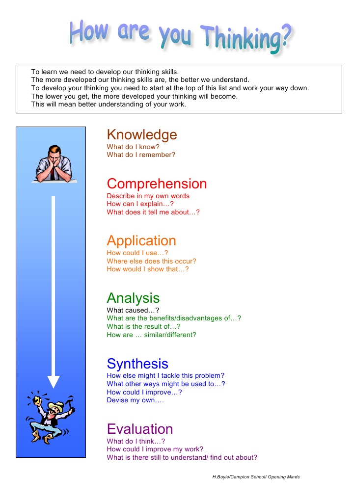 Developing Thinking Skills for Learning | PDF