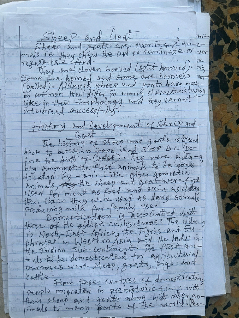 Sheep and Goat Production | PDF