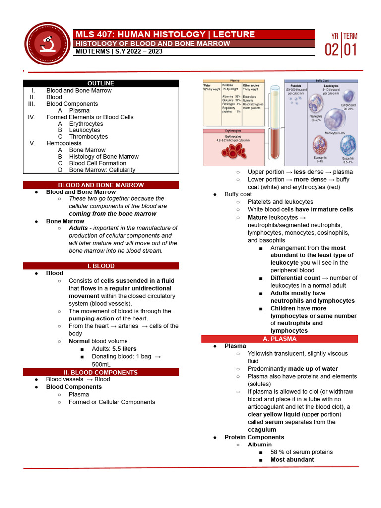 Histology of Blood and Bone Marrow | PDF | White Blood Cell ...