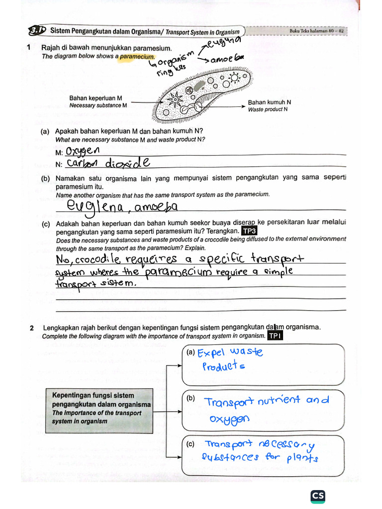 Form 3 Bab 3 - 250527 - 190657 | PDF