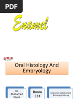 Enamel: Physical and Chemical Properties | PDF | Tooth Enamel | Tooth