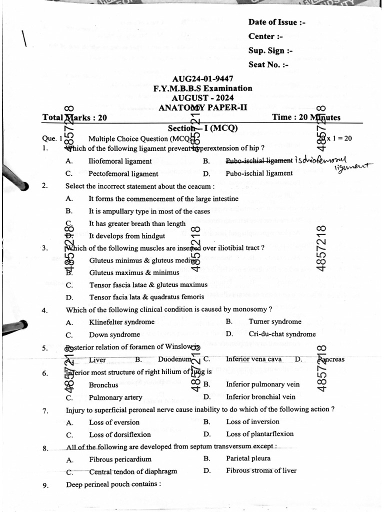 Anat Aug24 | PDF