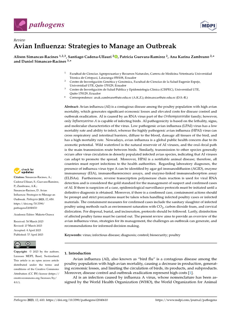Avian Influenza Strategies To Manage An Outbreak Review Article | PDF ...