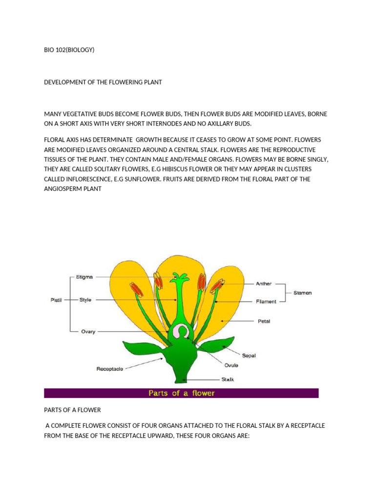 Flower Structure and Classification Guide | PDF | Flowers | Fruit