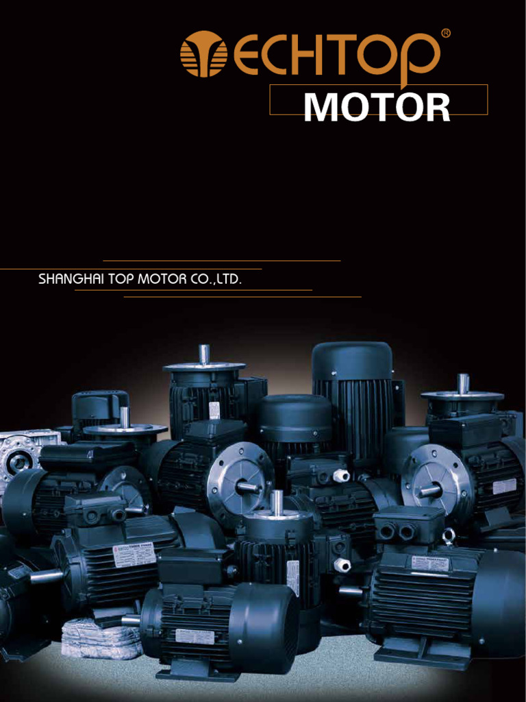 145 Frame EC Motor Overview | PDF | Power Inverter | Electric Motor