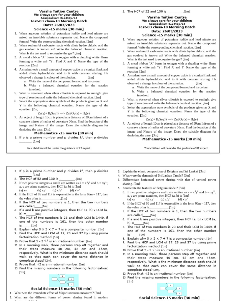 Class 10 Science & Math Test Questions | PDF | Chemical Reactions | Acid