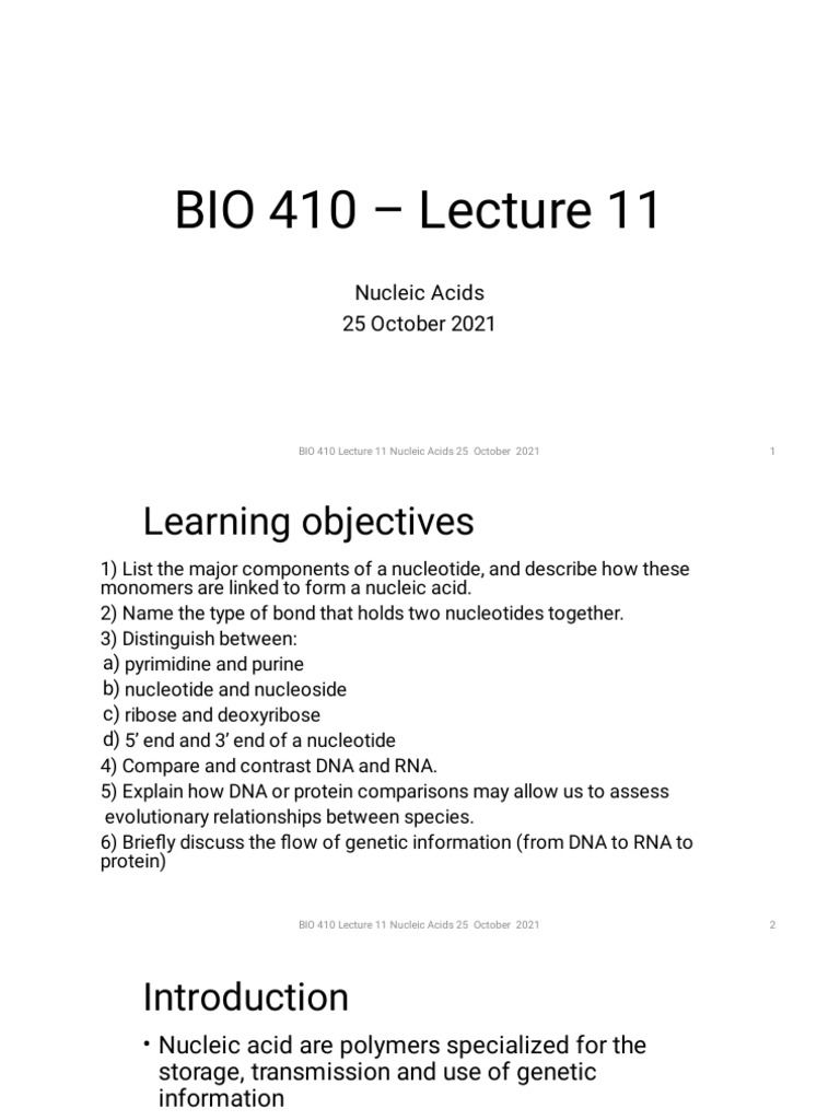 2021 BIO 410 Lecture 11 - Nucleic Acids | PDF | Nucleotides | Nucleic Acids