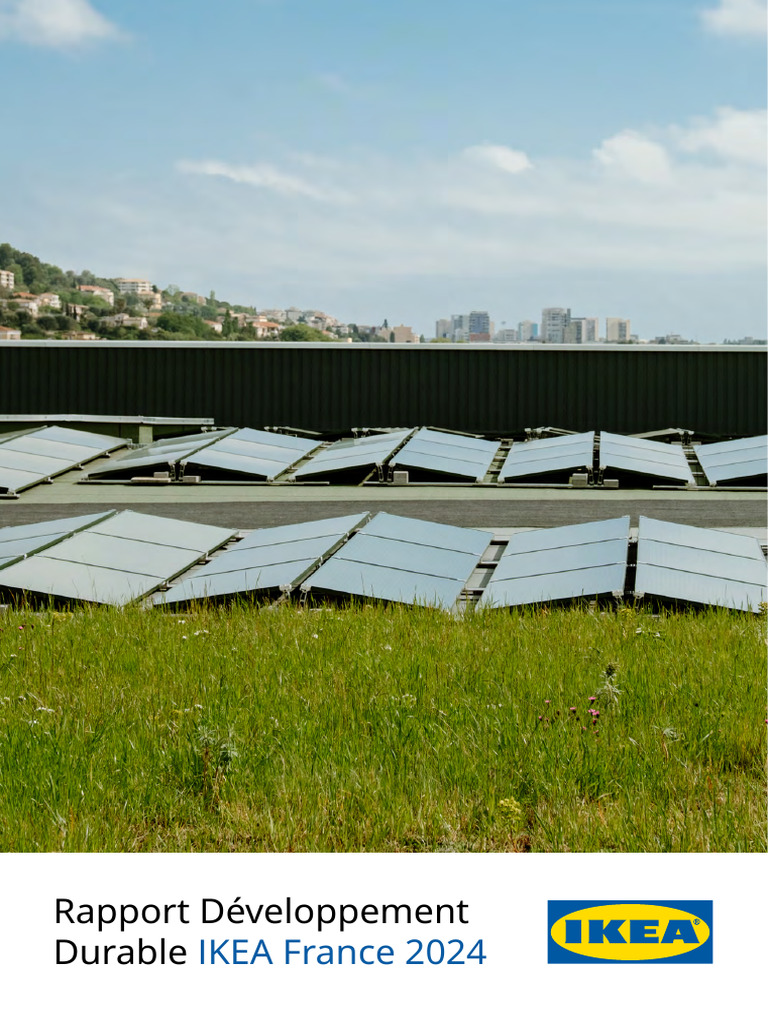 Rapport RSE IKEA France 2024 | PDF | Développement durable | Franchise ...