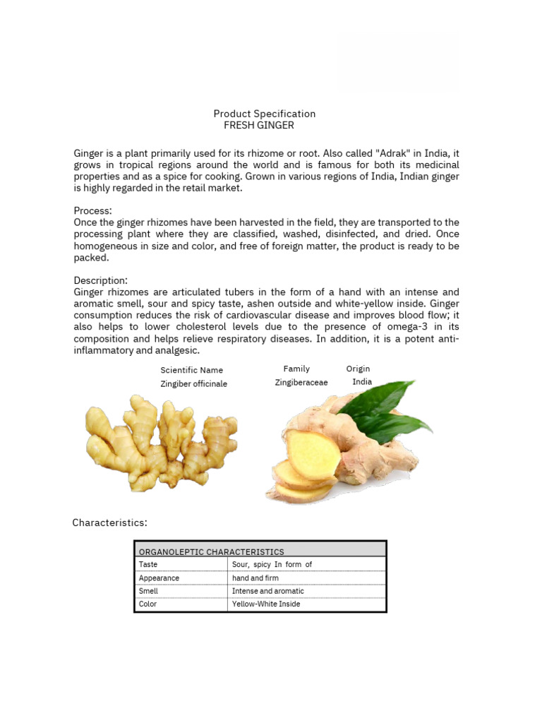 Fresh Ginger: Health Benefits & Specs | PDF | Ginger