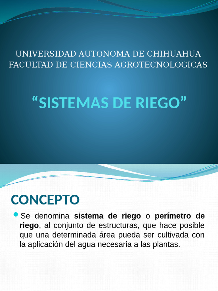 Sistemas de Riego | PDF | Riego | Agua