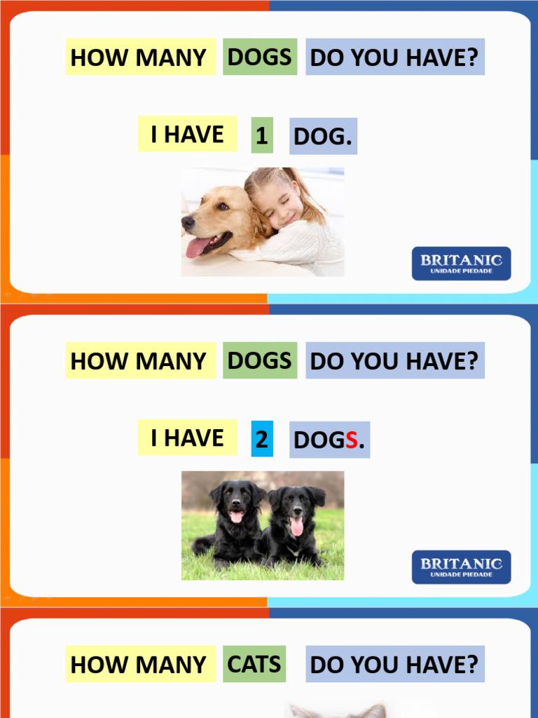 Counting Questions and Numbers Guide | PDF