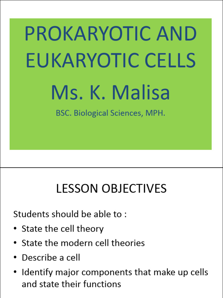 LECTURE 1 - Prokaryotic and Eukaryotic Cells - MsMalisa2021 | PDF ...