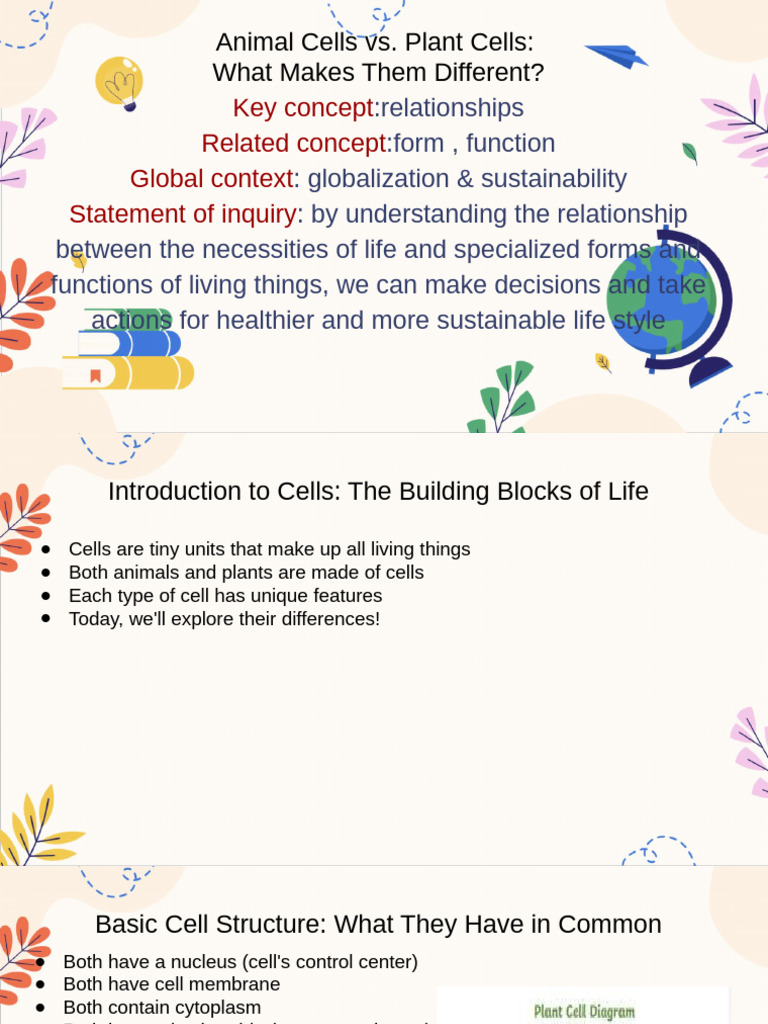 Differences Between Animal and Plant Cells | PDF | Cell (Biology) | Plants