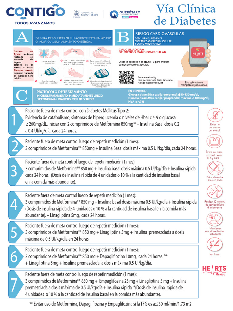 Vias Ob, DB, Hta | PDF | Diabetes | Páncreas Endocrino