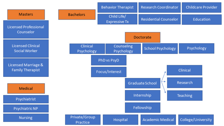 Psychology Graduate Pathways Explained | PDF