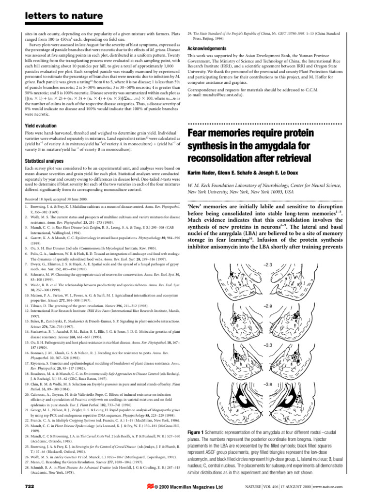 Fear Memories Require Protein Synthesis | PDF | Memory | Neuroscience
