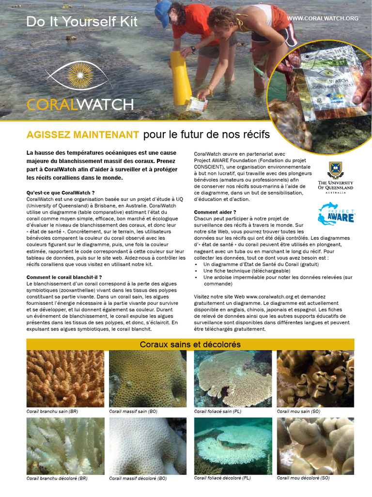 CoralWatch Instructions | PDF | Récif corallien | Corail