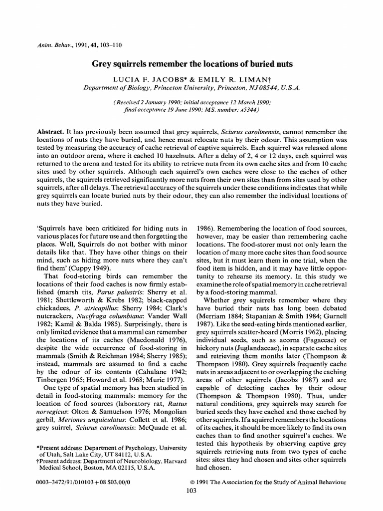 Grey Squirrels' Nut Cache Memory | PDF | Cache (Computing) | Squirrel
