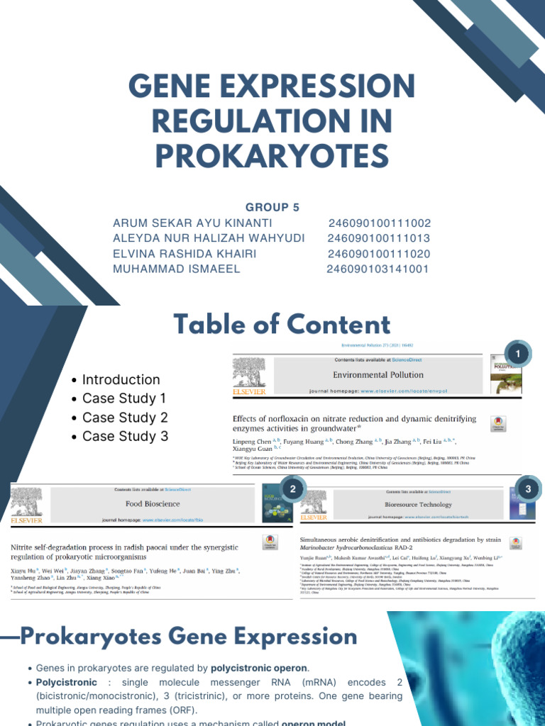 Prokaryotic Gene Regulation Overview | PDF | Operon | Repressor