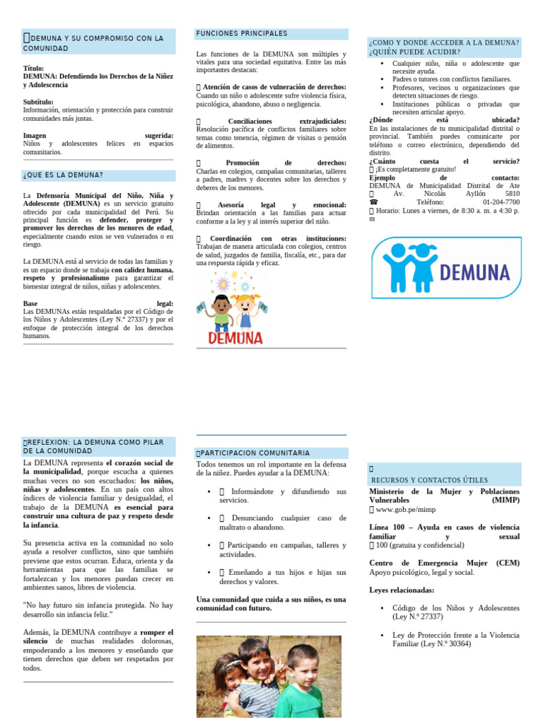 DEMUNA: Protección Integral de Niños | PDF | Derechos de los niños ...