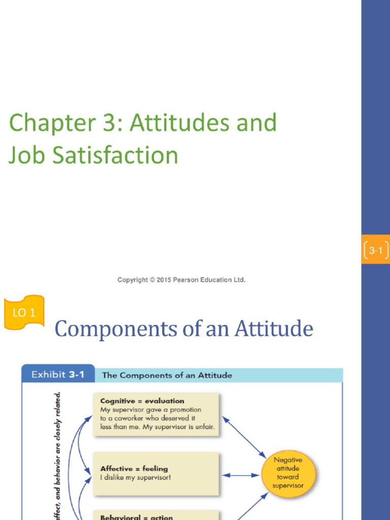 Ob C3 | PDF