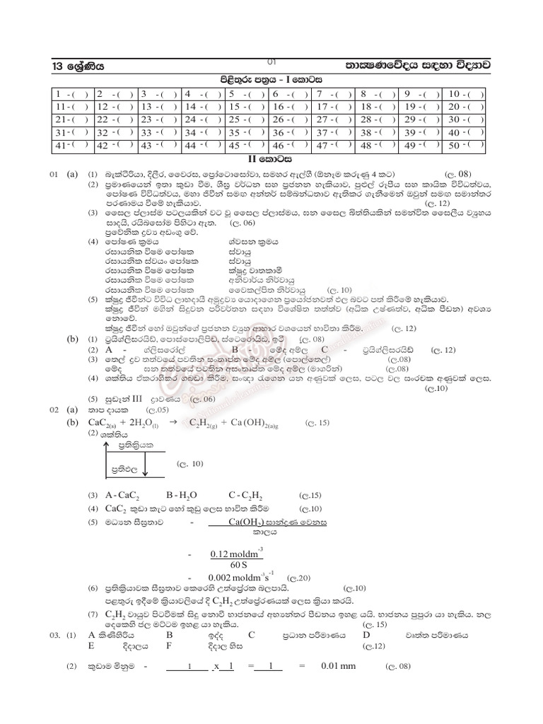 2025 SFT Model Paper and Answers | PDF