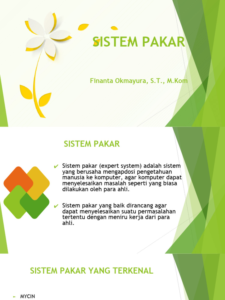 Manfaat dan Kelemahan Sistem Pakar | PDF