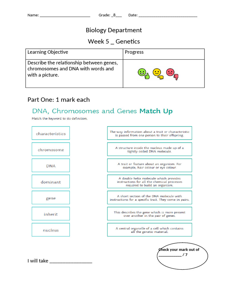 Genetics Lesson Plan for Grade 8 | PDF