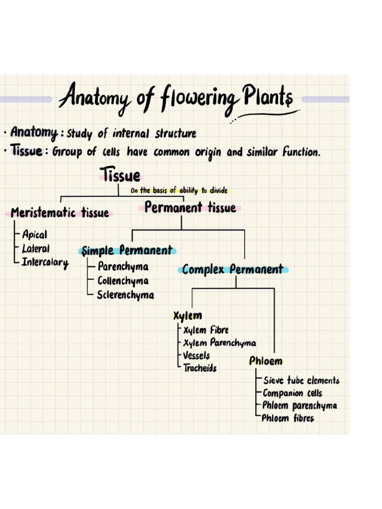Bio Notes | PDF