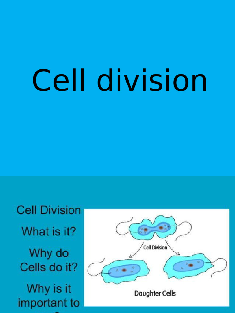 Cell Devision | PDF