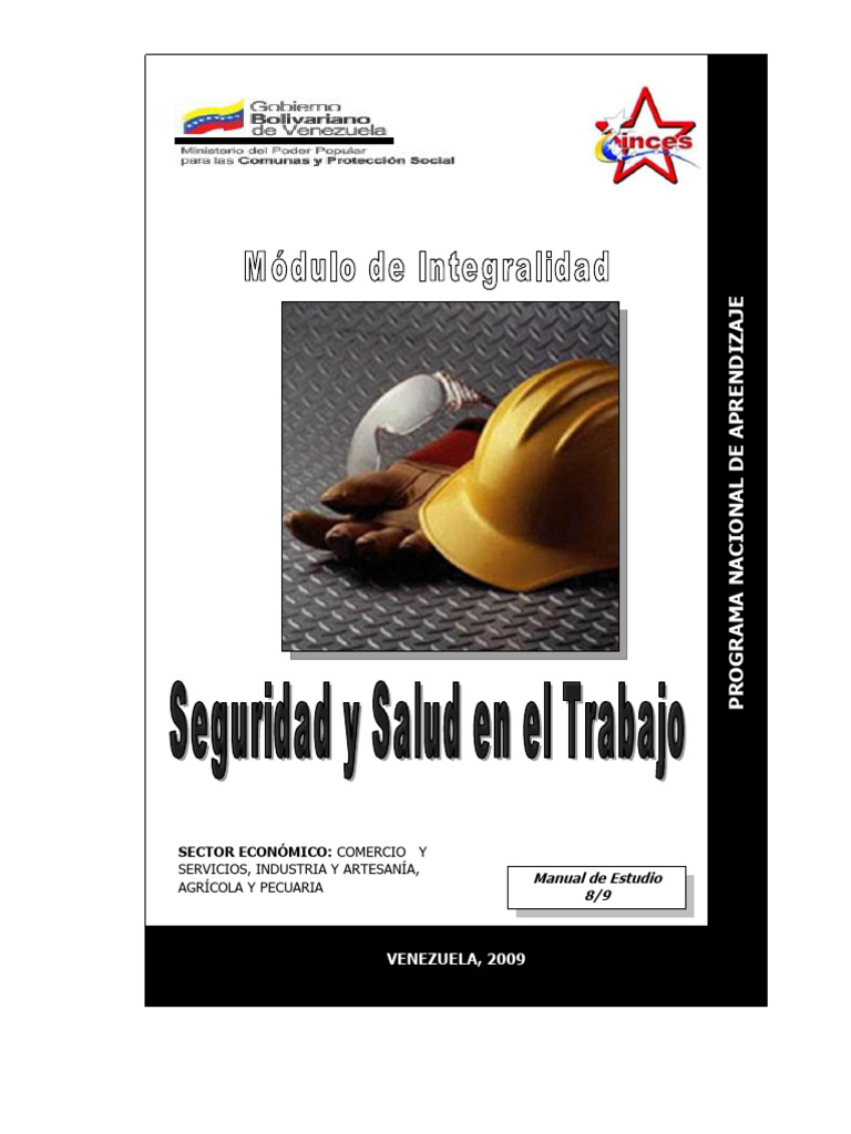 Seguridad y Salud en el Trabajo: Manual 2009 | PDF | Seguridad y salud ...