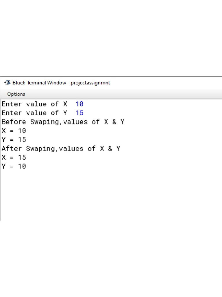 Computer Project | PDF