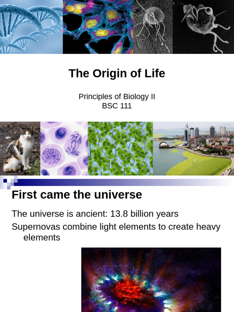 Lecture+1+Intro,+Origin+of+Life+ +edited | PDF | Abiogenesis | Life