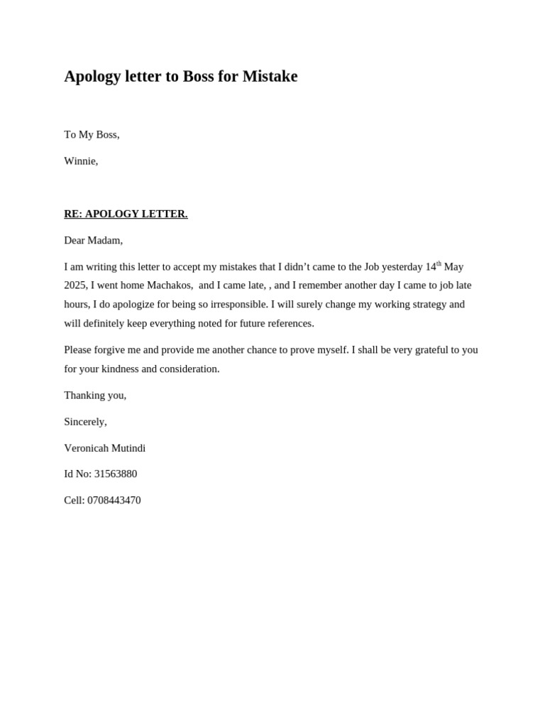 Apology Letter for Work Mistakes | PDF