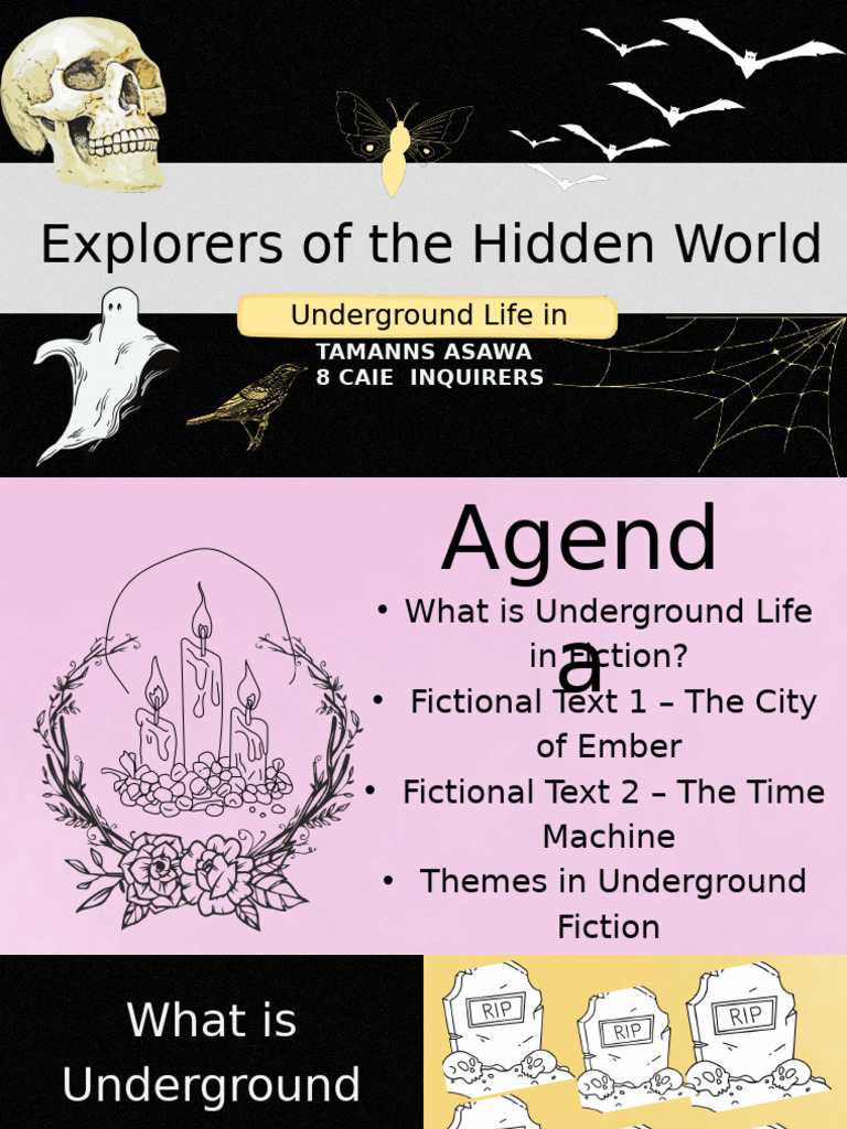 Your Paragraph Text | PDF | The Time Machine