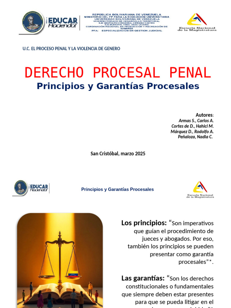 Principios y Garantías del Proceso Penal | PDF | Debido al proceso ...