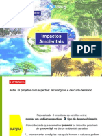 Avaliacao - Impacto - Ambiental2003 - 2011.2