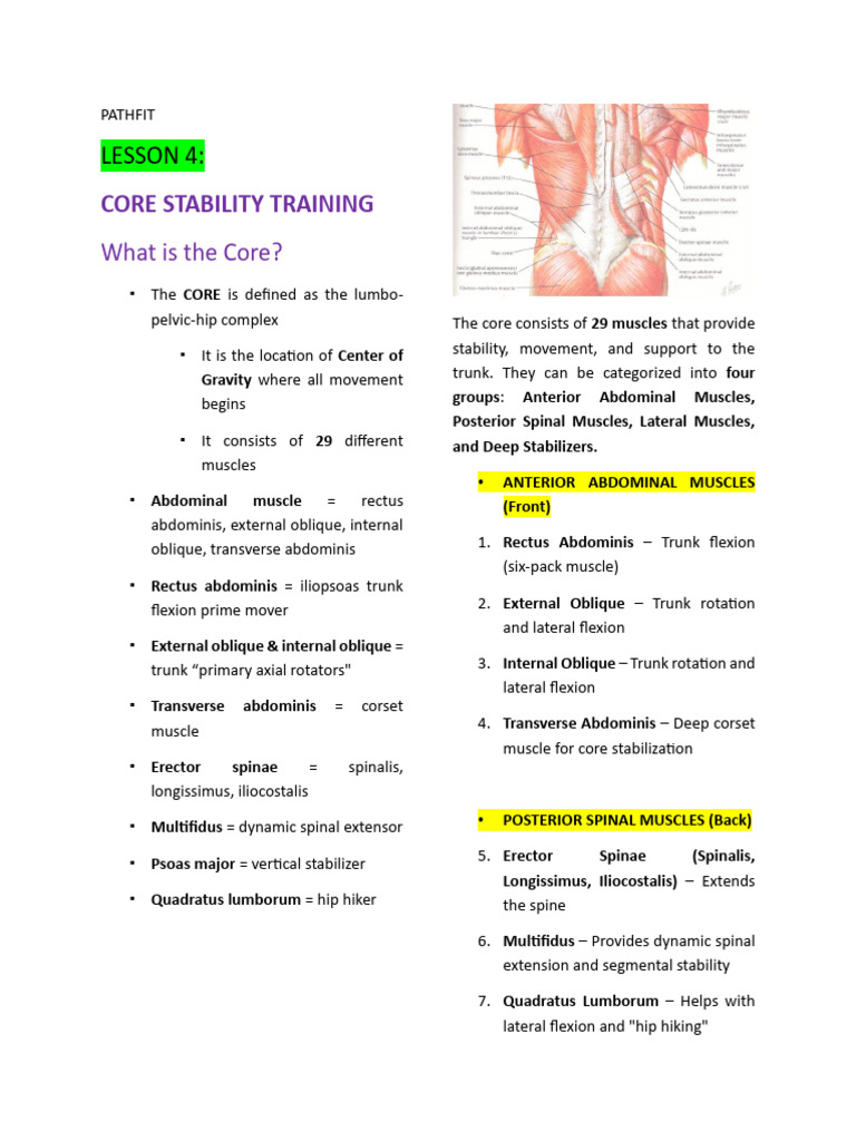 Core Stability Training Essentials | PDF | Pelvis | Abdomen