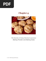 Download How to Bake Chapter 4 Baking Powder and Soda by medlaw SN8788484 doc pdf