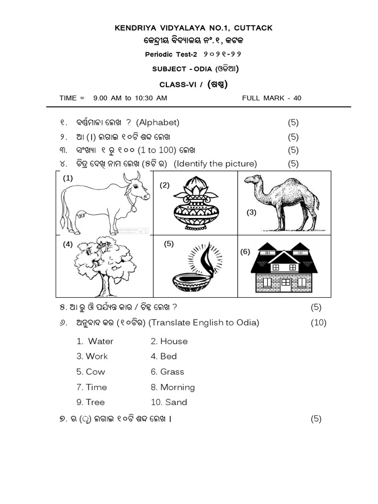 Odia Questions Class 6 | PDF