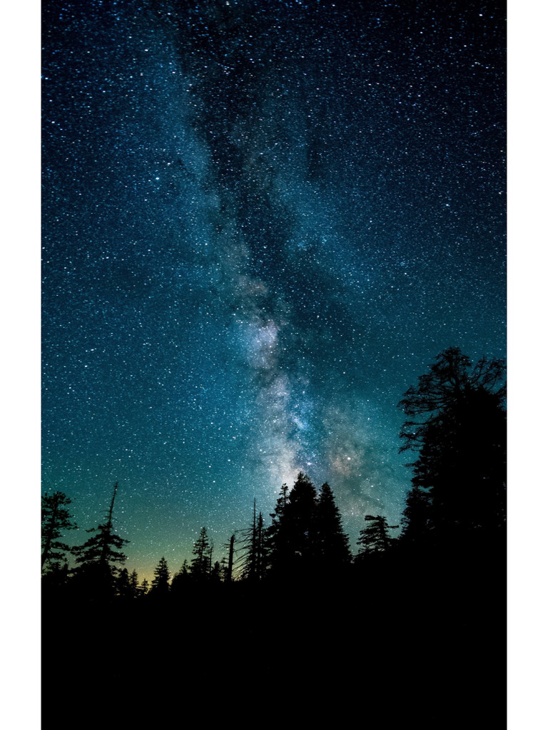 91756371 | PDF