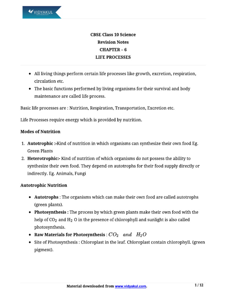 Life Processes | PDF