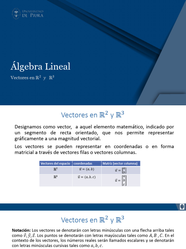 Vectores en R2 y R3 | PDF | Espacio vectorial | Vector Euclidiano
