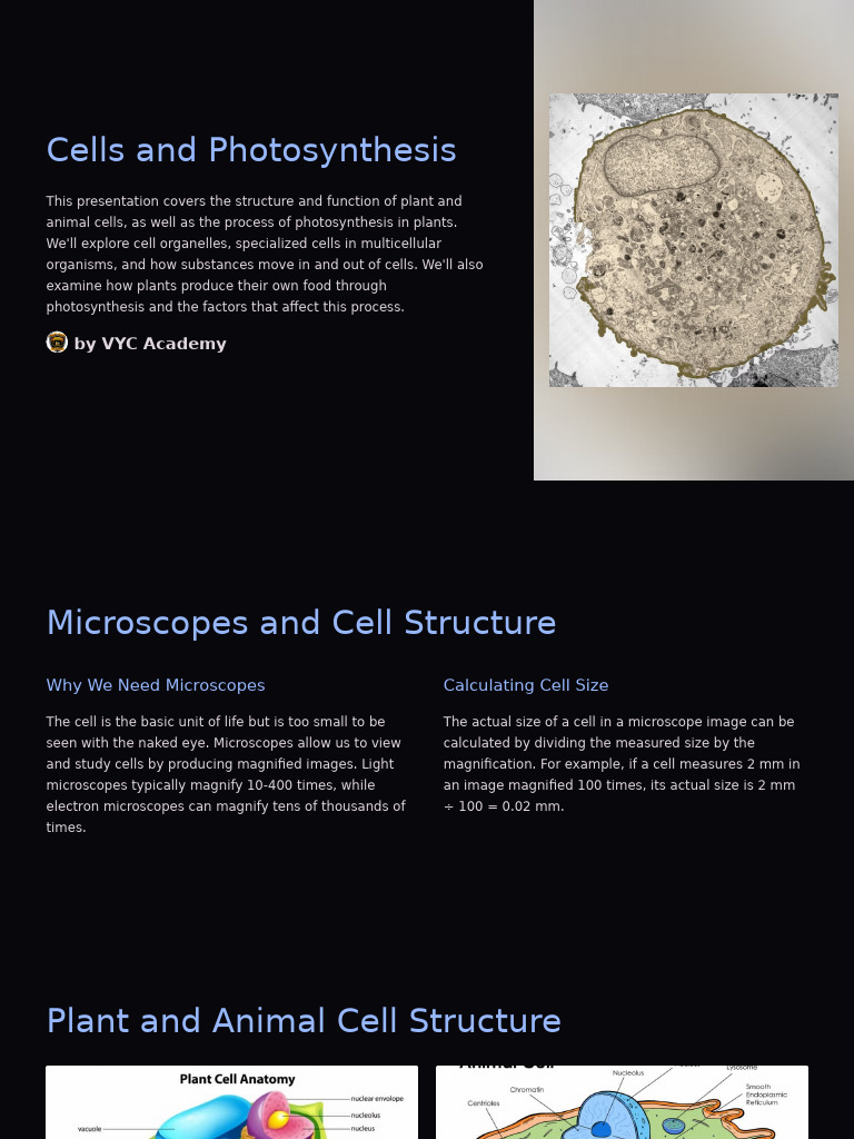 Cells and Photosynthesis Overview | PDF | Cell (Biology) | Stoma
