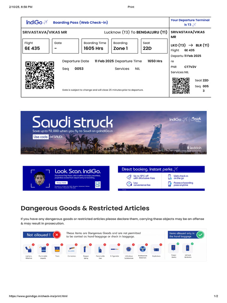Boarding Pass and Check-in Guide | PDF | Aviation