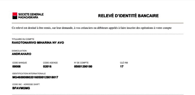 Rib | PDF