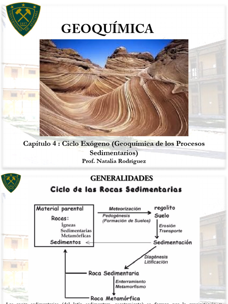 Ciclo Exógeno en Geoquímica Sedimentaria | PDF | Minerales | Meteorización